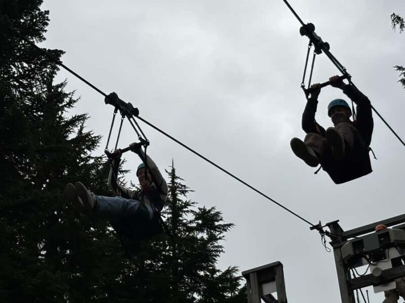 Vancouver: Grouse Mountain & Stanley Park Signature Tour - The Sum Up