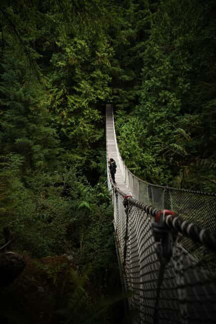Vancouver: Guided Hiking Highlights at Grouse & Lynn Canyon - Key Points