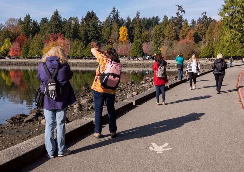 Vancouver: Highlights & Hidden Gems Private Tour - The Value of a Private, Personalized Tour