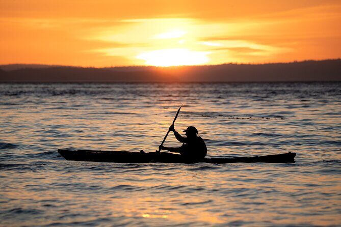 Vancouver Island: 2-Hour Evening Kayak Tour from Telegraph Cove - Key Points