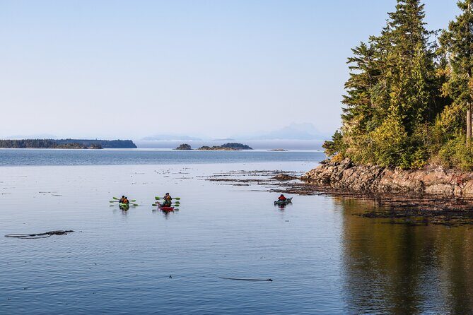 Vancouver Island: 2-Hour Evening Kayak Tour from Telegraph Cove - Frequently Asked Questions