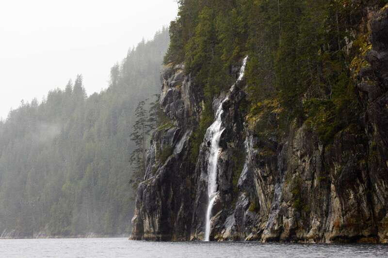 Vancouver Island: Full-Day Grizzly Bear Tour at Toba Inlet - Key Points
