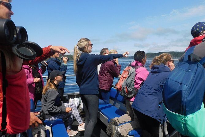 Vancouver Island Half-Day Whale Watching Tour - Telegraph Cove - FAQ