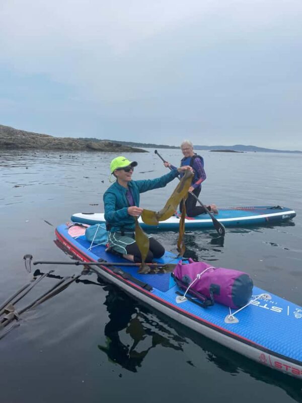 Vancouver Island: Marine Ecological Tour with Mer Tales - Key Points
