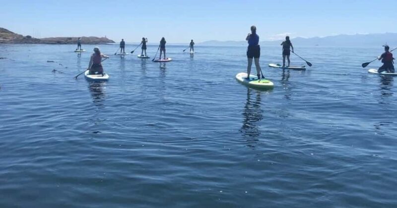 Vancouver Island: Marine Ecological Tour with Mer Tales - The Value of the Vancouver Island Marine Ecological Tour