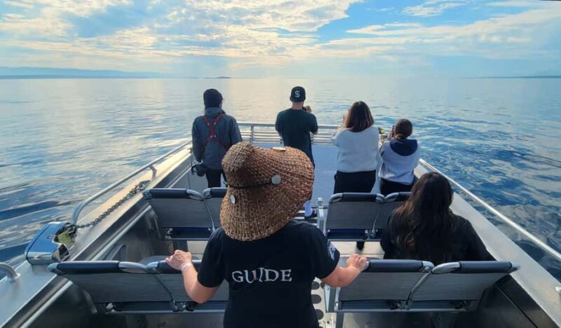 Vancouver Island: Spring Bears and Whales Full-Day Tour - Why This Tour Is Worth It