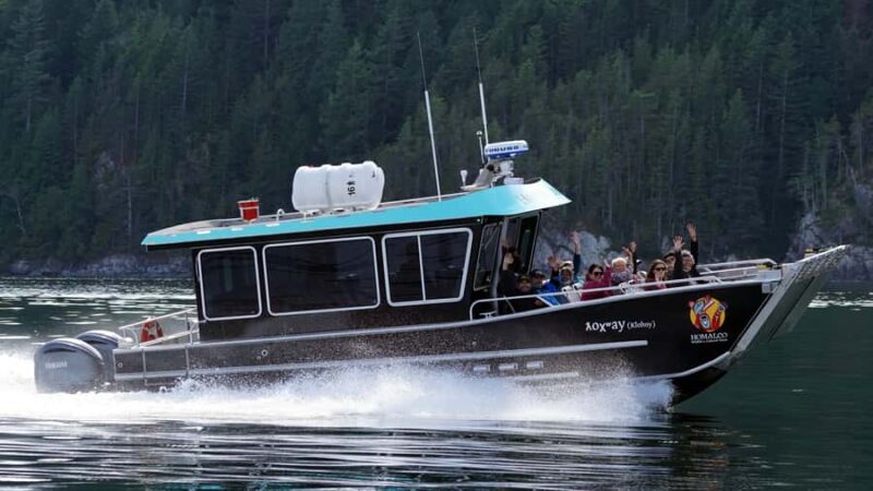 Vancouver Island: Spring Bears and Whales Full-Day Tour - Who Will Enjoy This Tour Most?