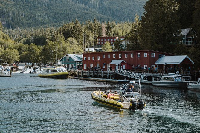 Vancouver Island Zodiac Whale Watching Adventure - Telegraph Cove - The Experience at a Glance