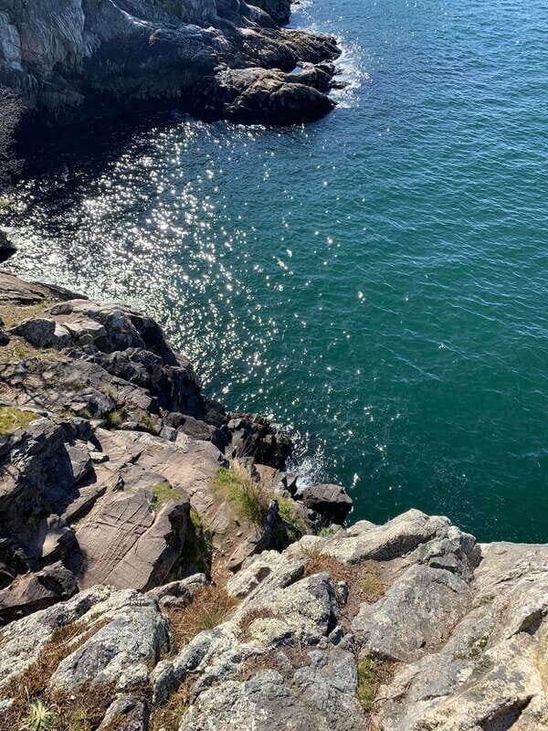 Vancouver: Lighthouse Park Hike - Vancouver: Lighthouse Park Hike – A Nature Escape with Stunning Views