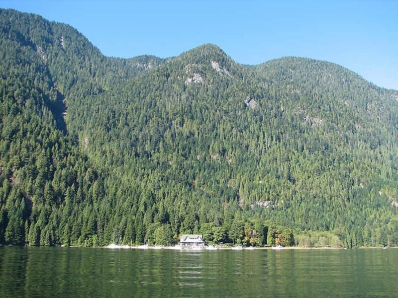 Vancouver: Lunch and Brunch Cruises - Vancouver: Lunch and Brunch Cruises — A waterborne feast with breathtaking views