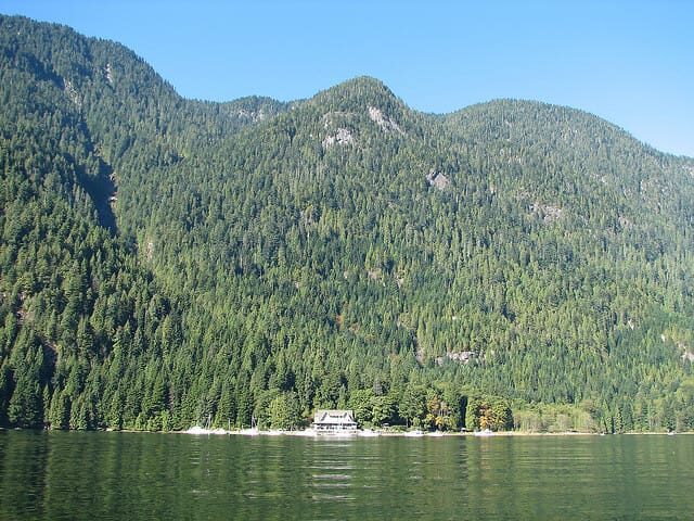 Vancouver: Lunch and Brunch Cruises - Who would love this cruise?