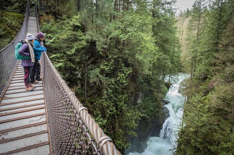 Vancouver: Lynn Valley Suspension Bridge & Nature Walk Tour - Vancouver: Lynn Valley Suspension Bridge & Nature Walk Tour — A Nature Escape Close to the City