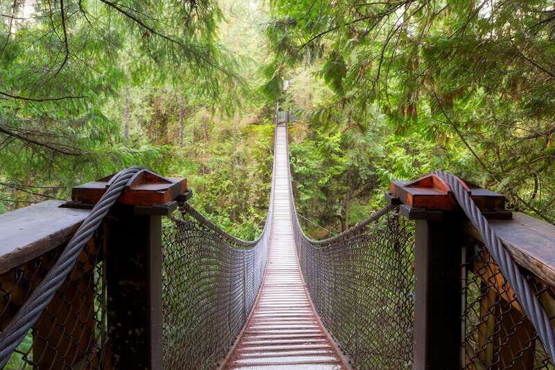 Vancouver: Lynn Valley Suspension Bridge & Nature Walk Tour - Key Points
