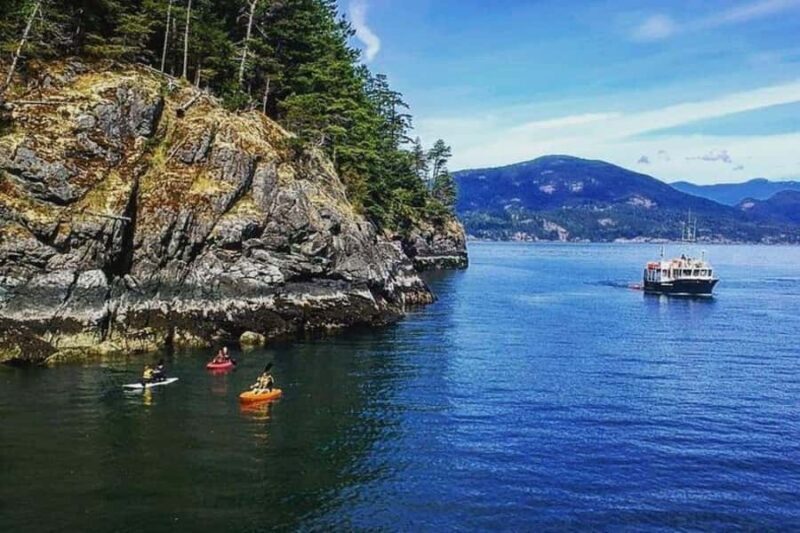 Vancouver: Morning Kayak & Seal Cruise - Key Points