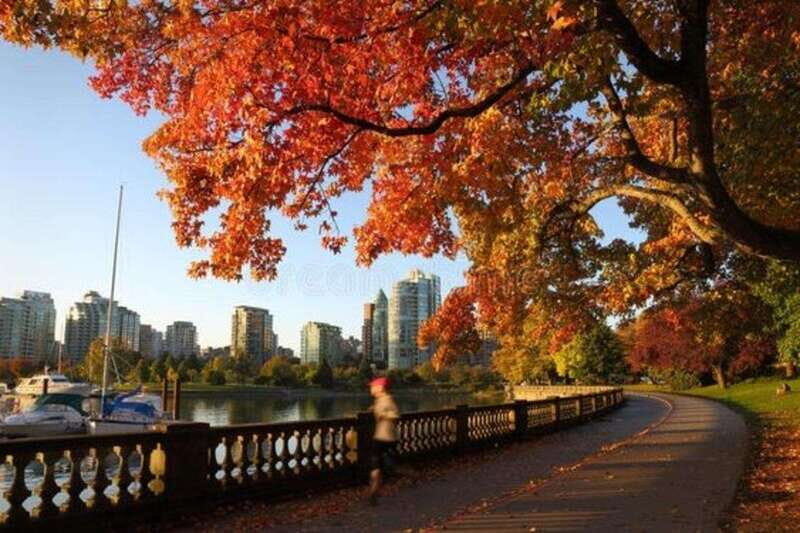 Vancouver : Must-See Attractions Walking Tour With A Guide - A Close Look at the Tour Experience