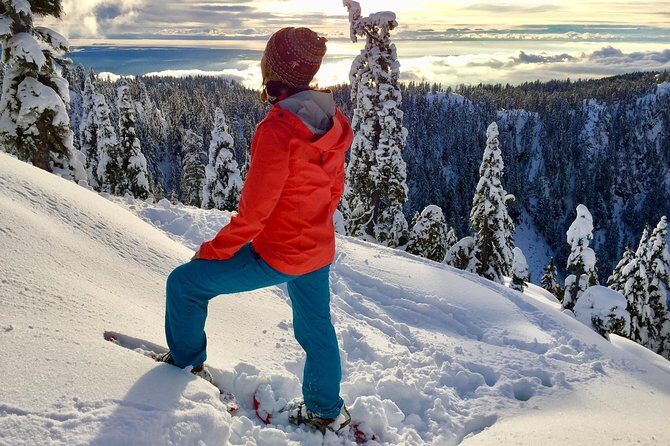 Vancouver Panoramic View Hike - Price and Value Analysis