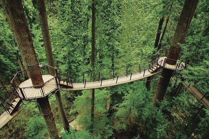 Vancouver Perfect Day Tour Grouse Mountain`& Capilano Suspention Bridge Private - The Sum Up: Who Should Consider This Tour?