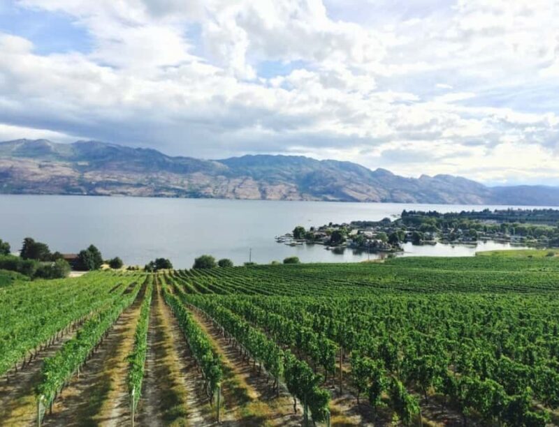 Vancouver: Private Kelowna Wine Country & Bike Tour - Who Should Consider This Tour?