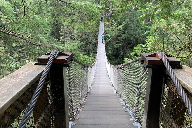 Vancouver Rainforest Hike with Waterfalls, Suspension Bridge, Old Growth Forest - Who Should Consider This Tour?
