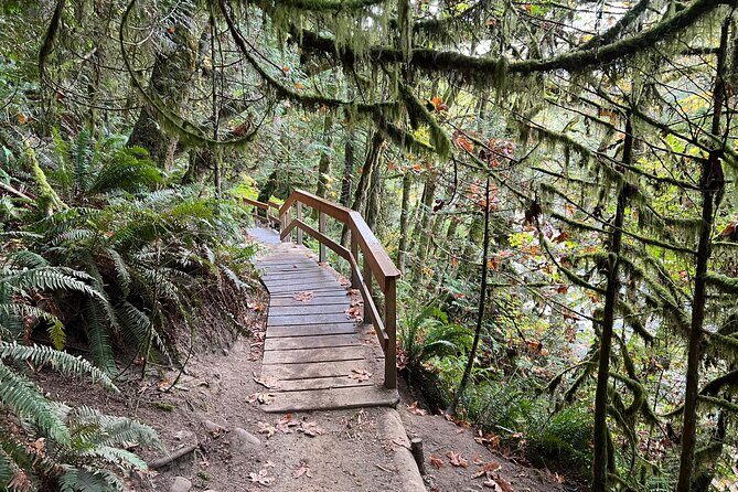 Vancouver Rainforest Hike with Waterfalls, Suspension Bridge, Old Growth Forest - Frequently Asked Questions