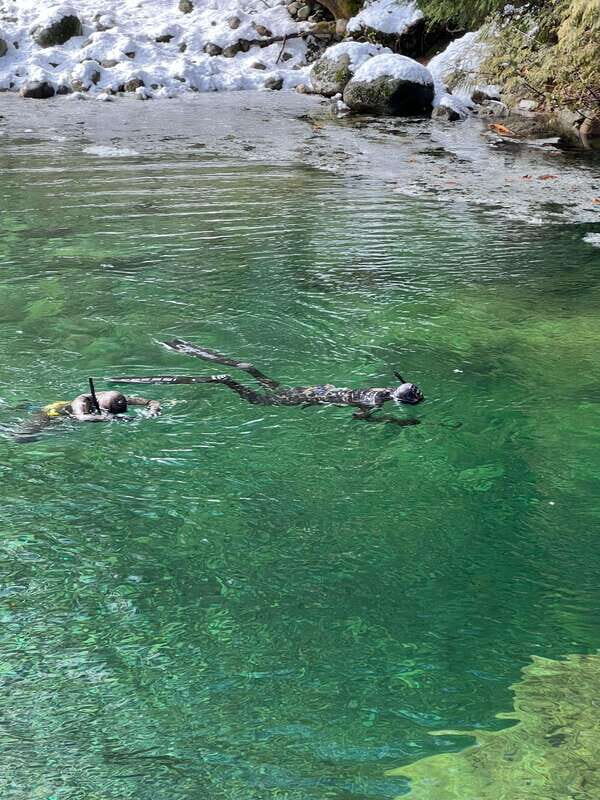 Vancouver: Rainforest Waterfall Hike and Suspension Bridge - A Deep Dive into the Rainforest Waterfall Hike and Suspension Bridge Experience