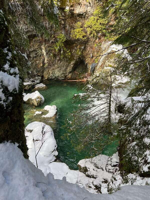 Vancouver: Rainforest Waterfall Hike and Suspension Bridge - The Sum Up