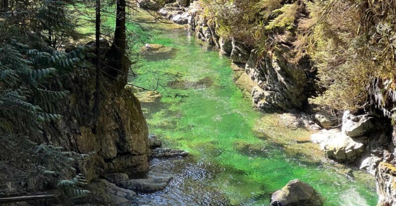 Vancouver: Rainforest Waterfall Hike and Suspension Bridge - FAQ