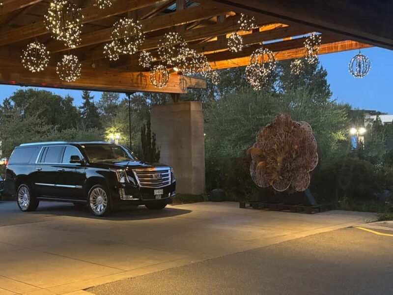 Vancouver: Sea to Sky Gondola & Shannon Falls Tour - An In-Depth Look at the Experience