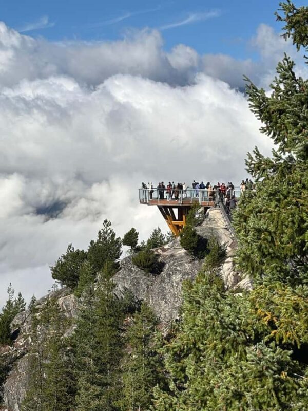Vancouver: Sea to Sky Gondola & Shannon Falls Tour - Who Is This Tour Best For?