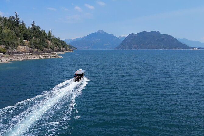 Vancouver: Snorkeling Seals Kayaking Scenic Boat Tour - Key Points