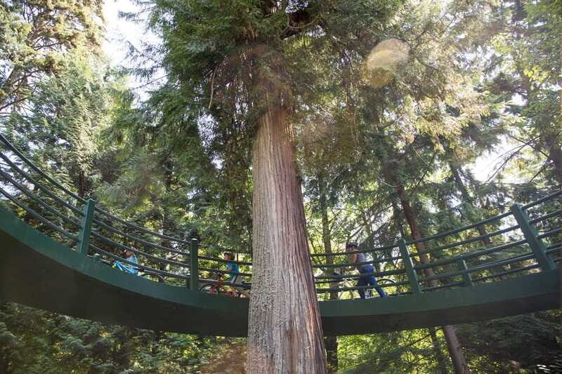 Vancouver: Stanley Park Bicycle Tour - Frequently Asked Questions