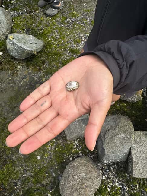 Vancouver: Stanley Park Salish Sea & Me - An In-Depth Look at the Vancouver: Stanley Park Salish Sea & Me Tour