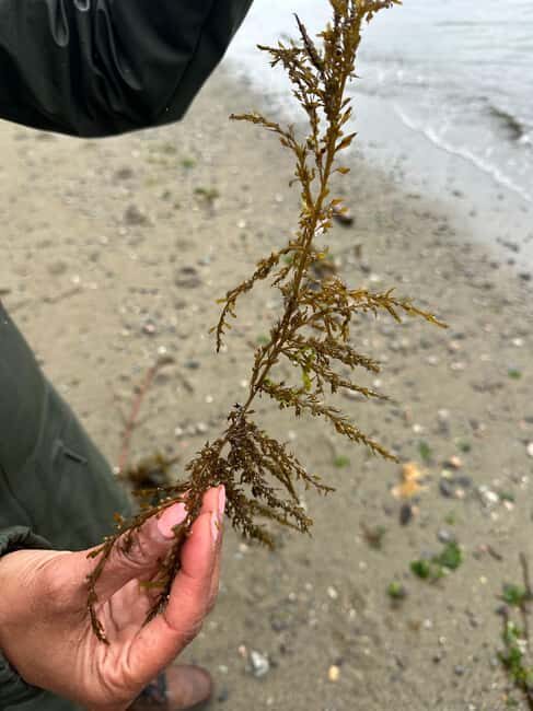 Vancouver: Stanley Park Salish Sea & Me - Final Thoughts