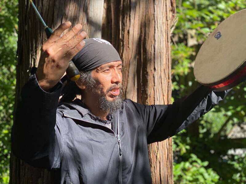 Vancouver: Stanley Park Talking Trees Tour - Key Points