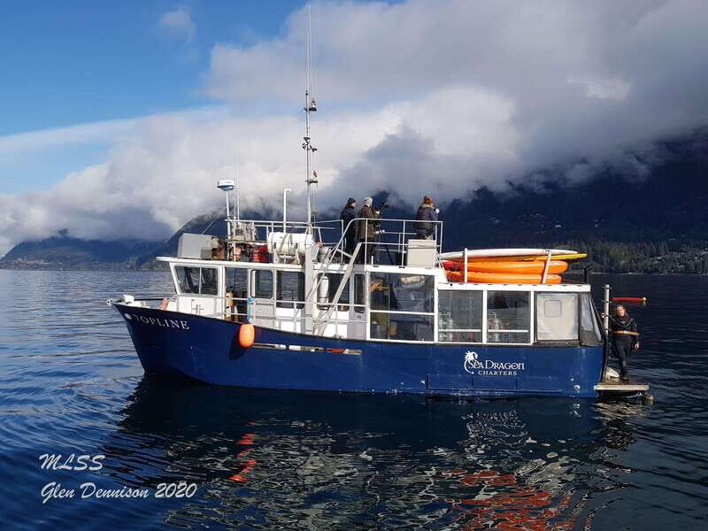 Vancouver: Sunset Boat Cruise with Complementary Bubbly - The Sum Up