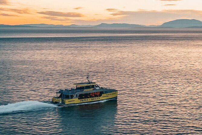 Vancouver Sunset Whale Watching Adventure with Free Photos - Starting Point & Logistics: Ease and Accessibility