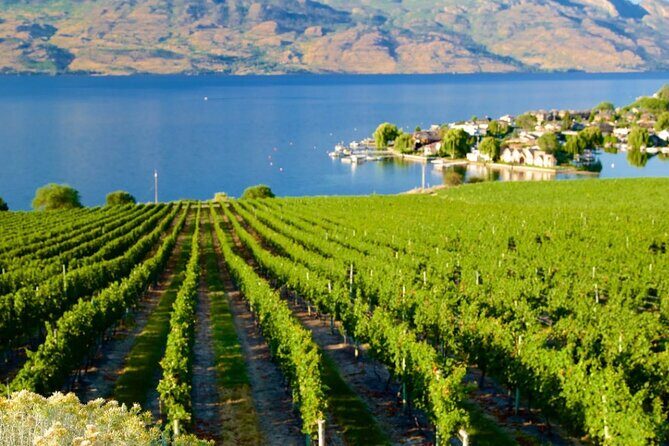 Vancouver to Kelowna Private Group Transfer up to 14 passengers - Frequently Asked Questions