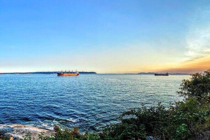 Vancouver to Tofino 2 Day Tour Private - Who Should Consider This Tour?