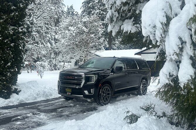 Vancouver to Whistler - Private Transfer - One Way - FAQ