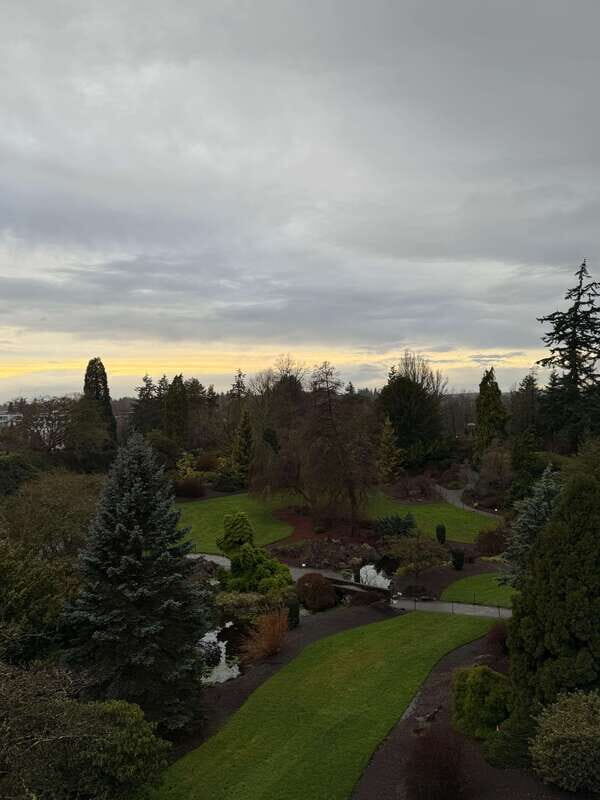 Vancouver Tour/Car/Grandville Island/Queen Elizabeth/China T - An In-Depth Look at Vancouver’s Private Car Tour