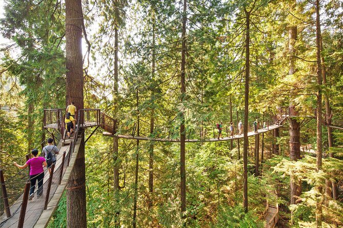 Vancouver Tour: Stanley Park, Granville Island & Capilano Bridge - Practical Details and What to Expect