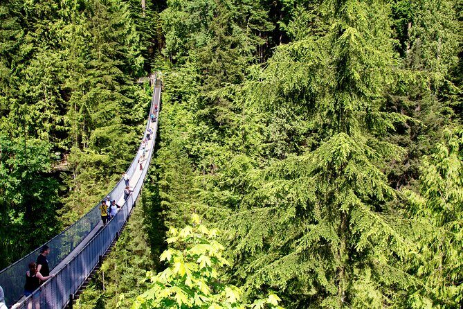 Vancouver: Ultimate City Highlights Tour - Key Points