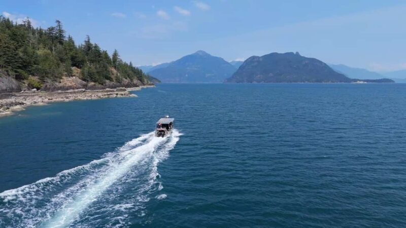 Vancouver UNESCO Biosphere Reserve Wildlife Scenic Boat Tour - Final Thoughts: Who Should Take This Tour?