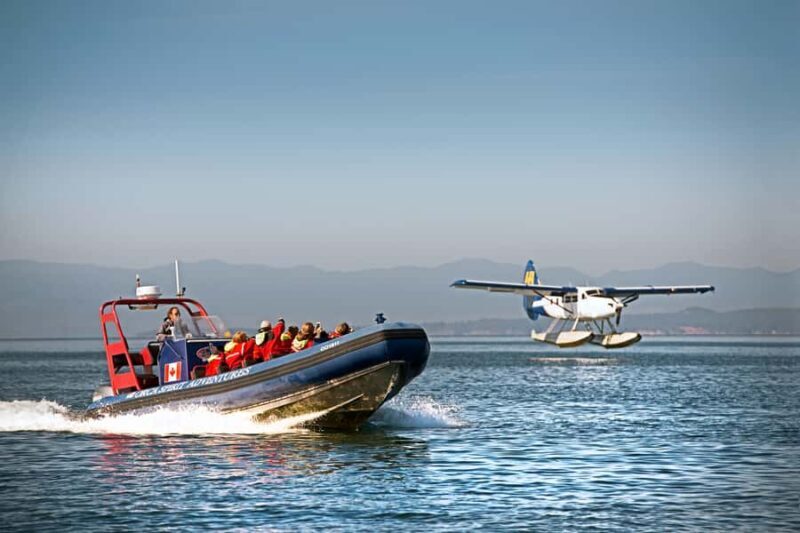 Vancouver: Victoria Day Trip by Seaplane and Whale Watching - Who Would Love This Tour?
