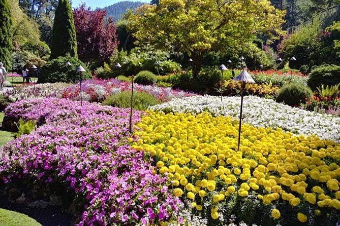 Vancouver, Victoria & Whistler 3 days in one Combo Tour. - In-Depth Look at the Itinerary