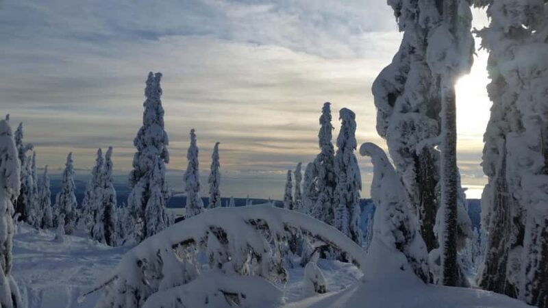 Vancouver:Guided Snowshoe Adventure in North Shore Mountains - Key Points