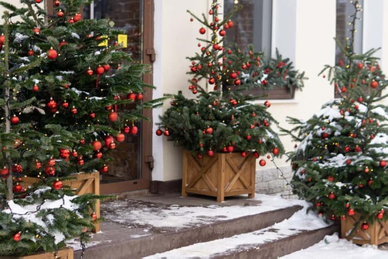 Vancouvers Festive Shore : Christmas Private Walking Tour - Key Points