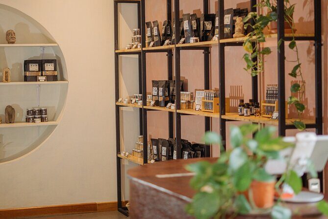 Vanilla, Cacao & Spice Tour in Manuel Antonio - The Sum Up