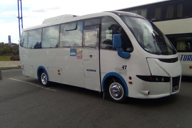 Vans and Minibuses Service - A Detailed Look at the Vans and Minibuses Experience