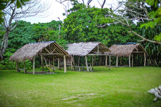 Vanuatu Cultural Village, Waterfalls, Turtles and Blue Lagoon - FAQ